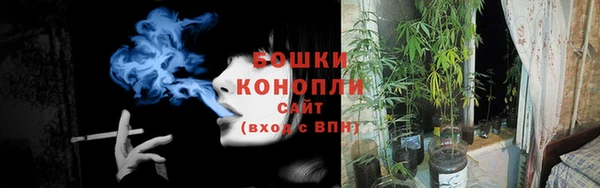 прущий лед Корсаков